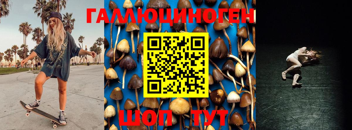 Рузаевка  Галлюциногенные грибы MAGIC MUSHROOMS  Вход с VPN 